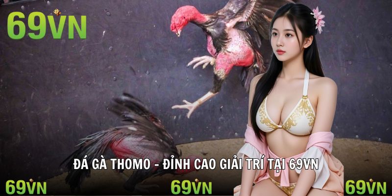 đá gà thomo